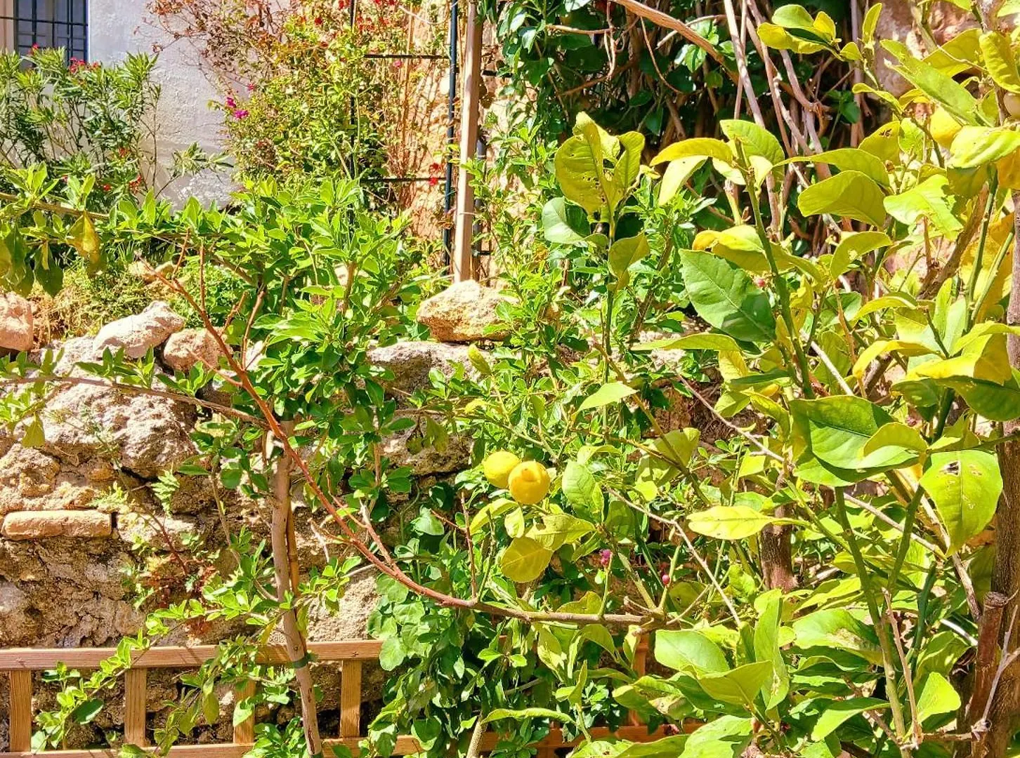 Casa Castillo Con Jardin Vejer de la Frontera 0*,